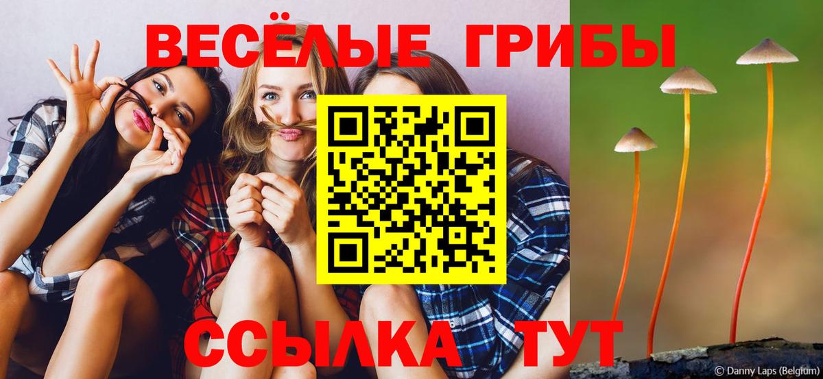 Псилоцибиновые грибы мухоморы  Вход с VPN  Ликино-Дулёво 
